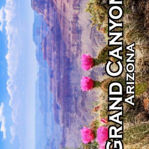 Grand Canyon Arizona Spring Bloom 2x3 Magnet